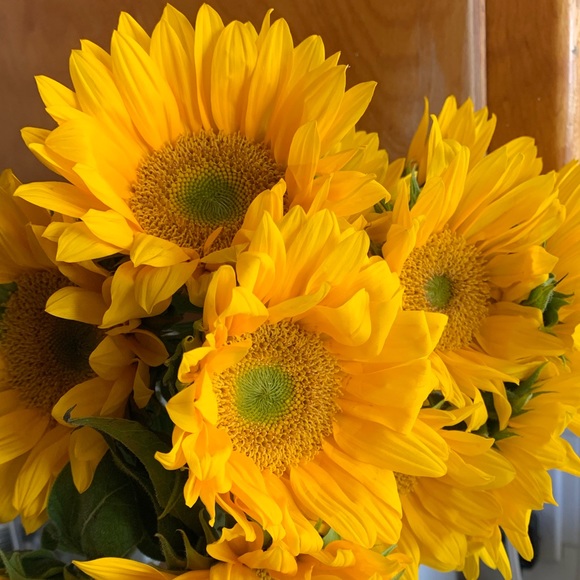 Meet your Posher, Maddy - Picture 1 of 1